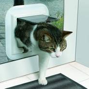 Install cat Flaps in No.1 Coventry